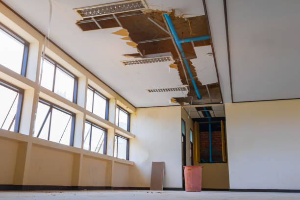 Best Carpet water damage restoration  in Somers Point, NJ
