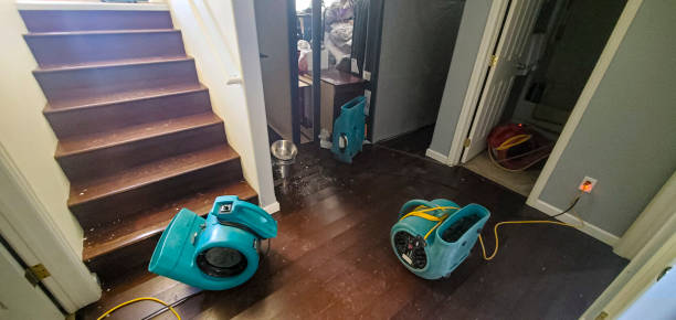 Best Professional water damage repair  in Somers Point, NJ