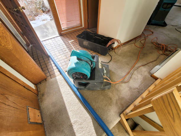 Best Water damage restoration process  in Somers Point, NJ
