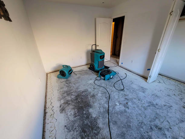 Best Water damage cleanup near me  in Somers Point, NJ