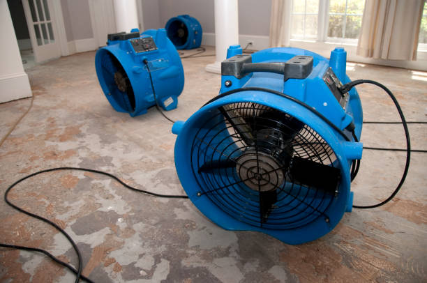 Best 24-hour water damage restoration  in Somers Point, NJ