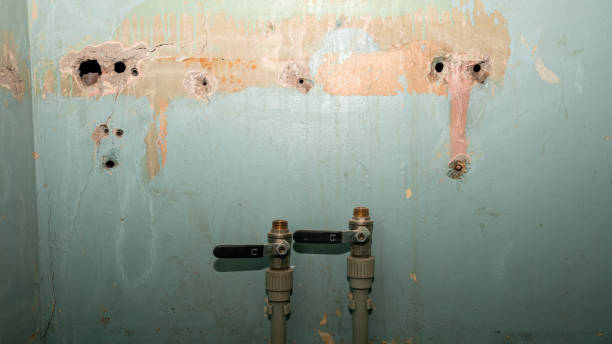 Best Flooded house restoration  in Somers Point, NJ