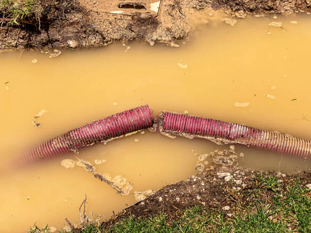  Somers Point, NJ Water damage restoration Pros